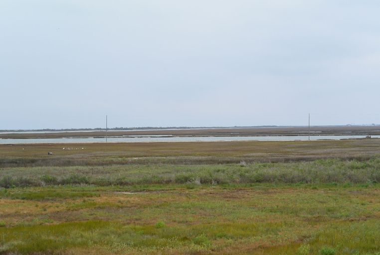 Miscellaneous, Private Pelican 2 Bedroom Home, Galveston