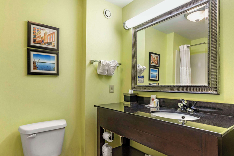 Bathroom 4, Comfort Inn Athens, McMinn
