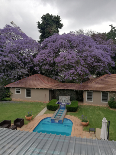 Sport & Beauty 2, 58 On Hume and Spa, City of Johannesburg