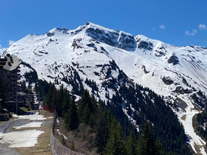 Others 4, Apartment in Avoriaz with Ski-InSki-Out Access, Haute-Savoie