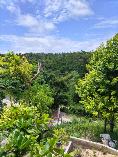 Garden 2, Siquijor Overlooking House 100 meters before Cambugahay Falls, Lazi