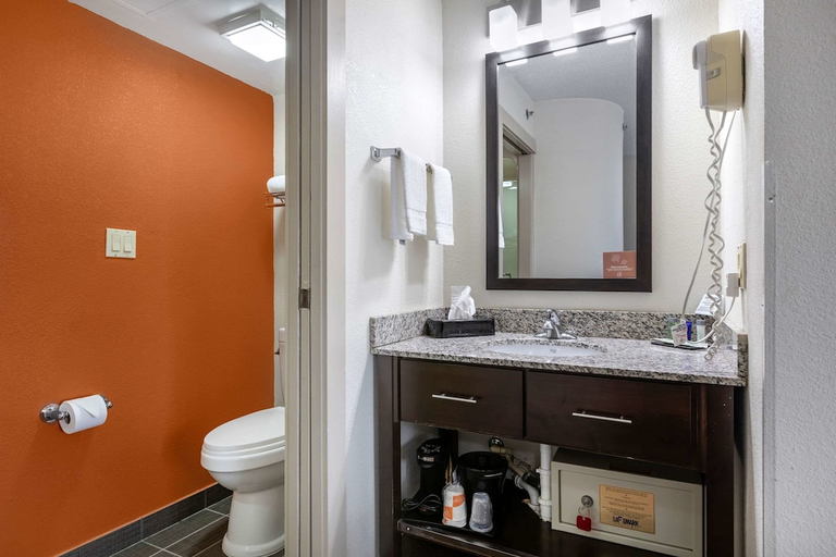 Bathroom 4, Sleep Inn DeWitt, Clinton