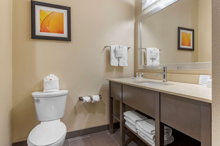 Others 5, Comfort Suites Near Sam Houston Race Park, Houston