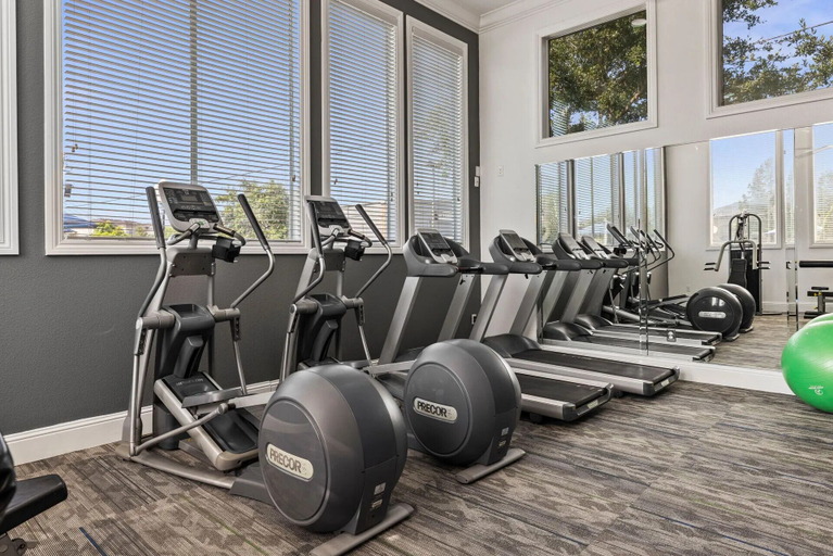 Fitness facility 4, Webster Apartments By Landing, Houston