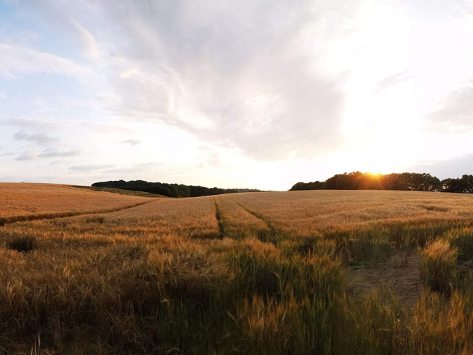 Others 5, 6 Person Holiday Home in Hejls, Kolding