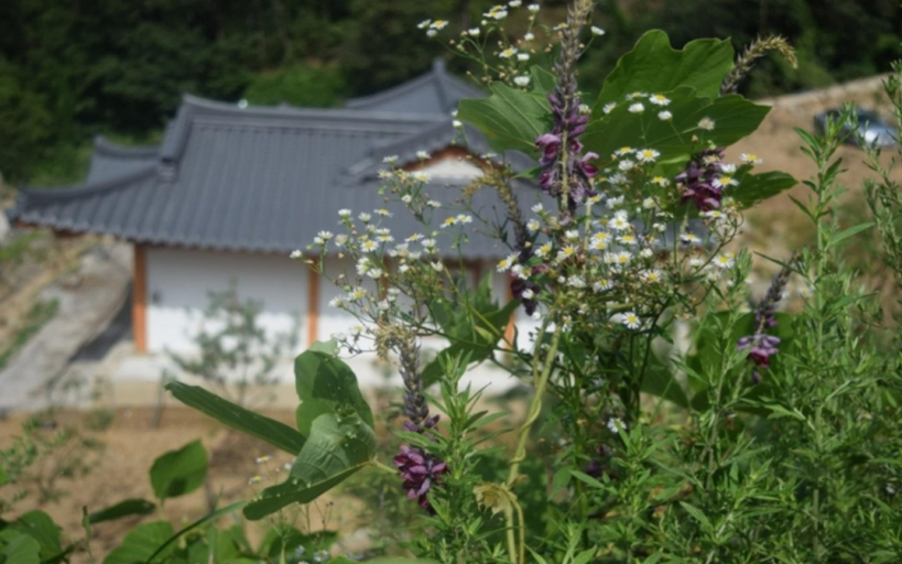 Others 3, Gimcheon Hansol Hanok Stay, Gimcheon