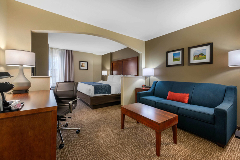 Others 5, Comfort Inn Ocala Silver Springs, Marion