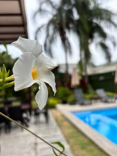 Sport & Beauty 5, Urdesa Suites Hotel, Guayaquil