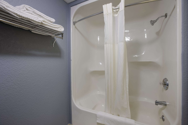 Bathroom 4, Quality Inn & Suites Big Rapids, Mecosta