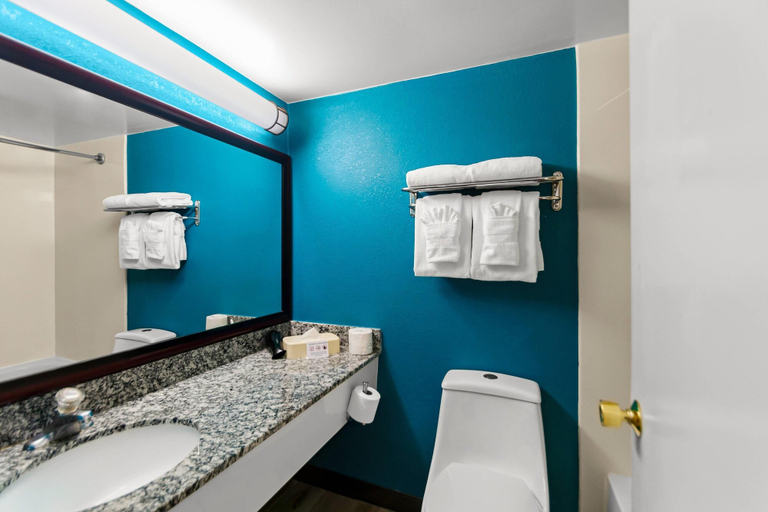 Bathroom 2, Clarion Inn Falls Church - Arlington, Fairfax