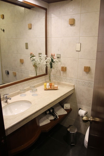 Bathroom 3, Fundador, Santiago