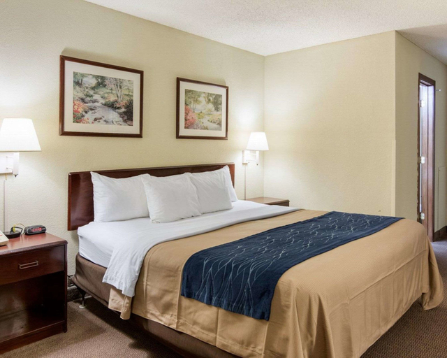Bedroom 3, Quality Inn University Area, Prince Edward