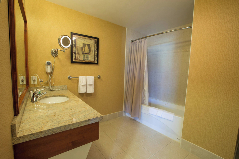 Bathroom 4, Courtyard by Marriott St. John's Newfoundland, Division No. 1