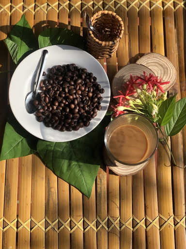 Food & Drinks 4, Nha Homestay, Phong Điền