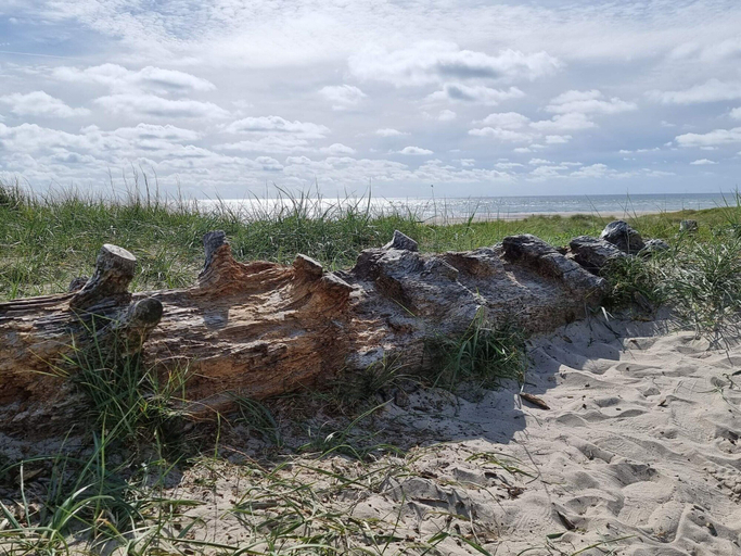 Others 4, 4 Star Holiday Home in Blavand, Varde