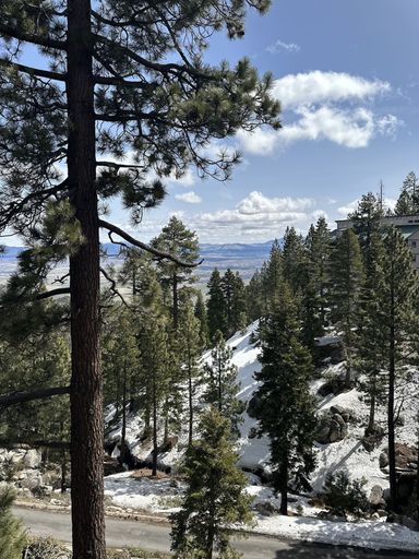 Miscellaneous 4, Hnc0617 - Stagecoach Summit Retreat 2 Bedroom Condo, Douglas