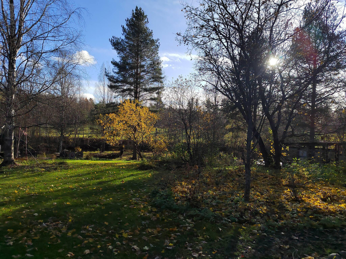 View 5, Riverfront Cottageee, Central Finland