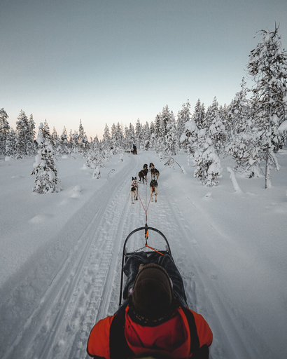Game drive 2, Halo Igloos - Private Sauna & Hot Tub, Lapland
