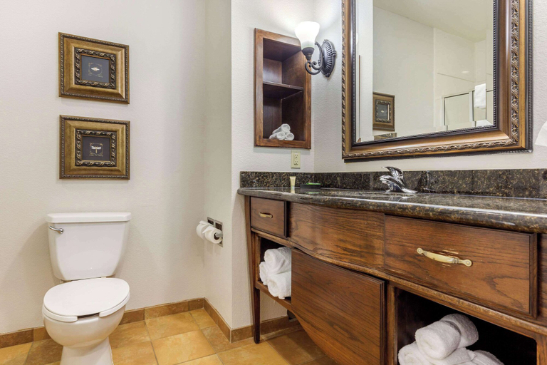 Bathroom 4, Clarion Pointe Sulphur Springs, Hopkins