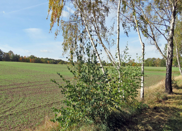 View from property 3, Ferienwohnung in Freital, Dresden, Sächsische Schweiz-Osterzgebirge