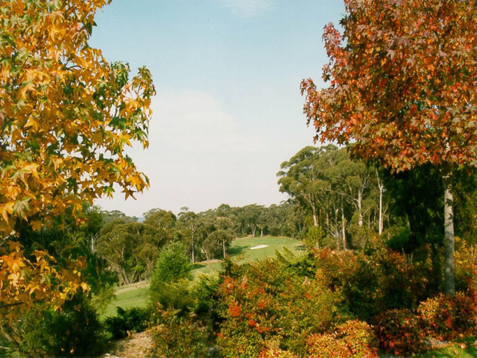 4, Little Haven Leura Cottage with Spa Bath and BBQ, Blue Mountains