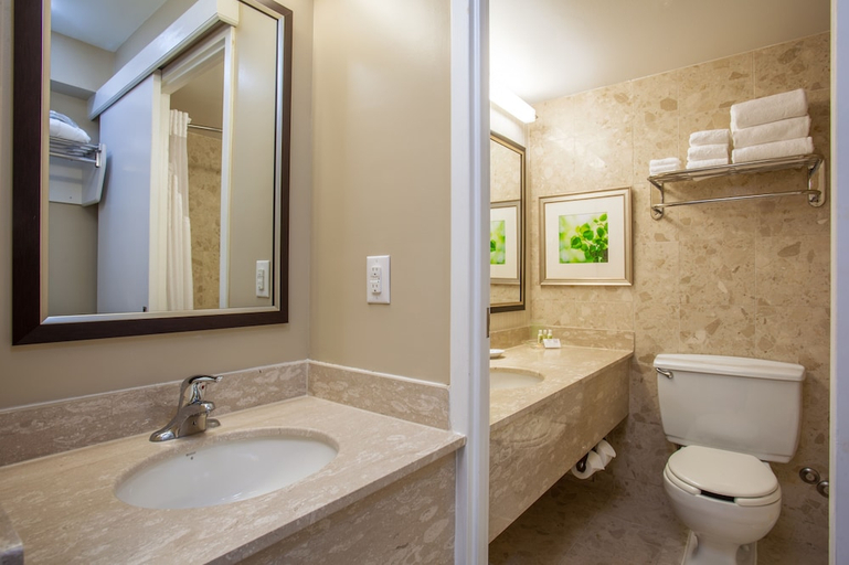 Bathroom, Holiday Inn Toronto - Int'l Airport by IHG, Toronto