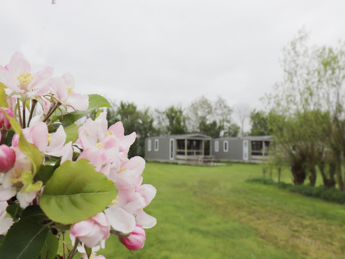 5, Cabin by Hegermeer with Boat Rentals, Wymbritseradiel