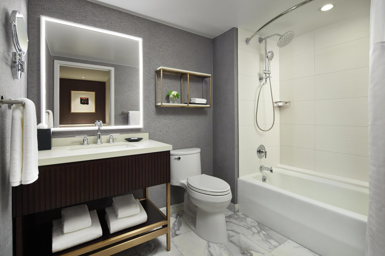 Bathroom 5, Grand Hyatt Washington, Washington D.C.