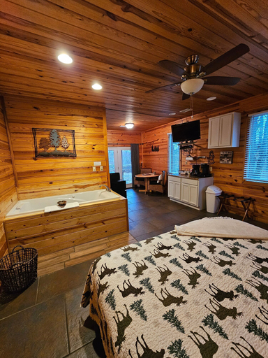 Room 5, Honey Bear Haven Suite 1, Carroll