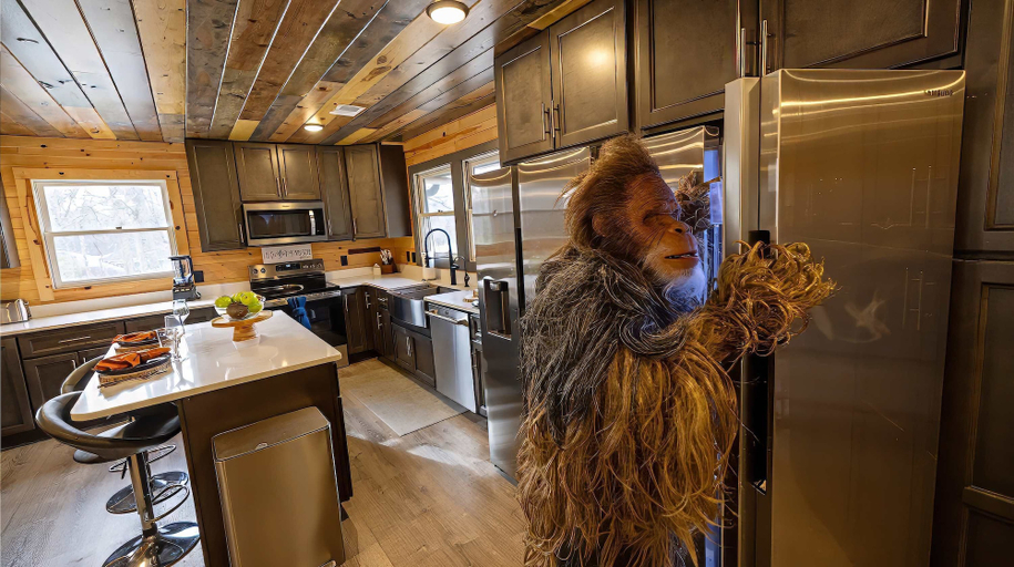 Room 4, Bigfoot Bunkhouse Pool Views Theater Arcade Firepit Book Now, Sevier