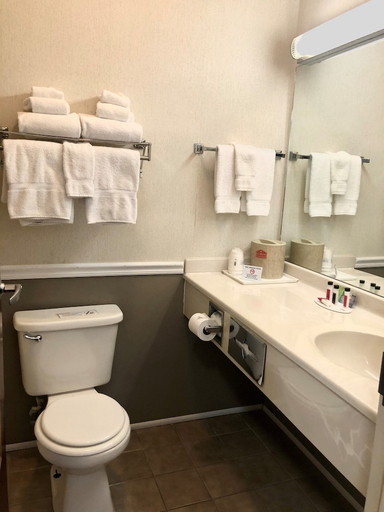 Bathroom 3, Ramada Limited/Conference Center-Mt. Sterling, Montgomery