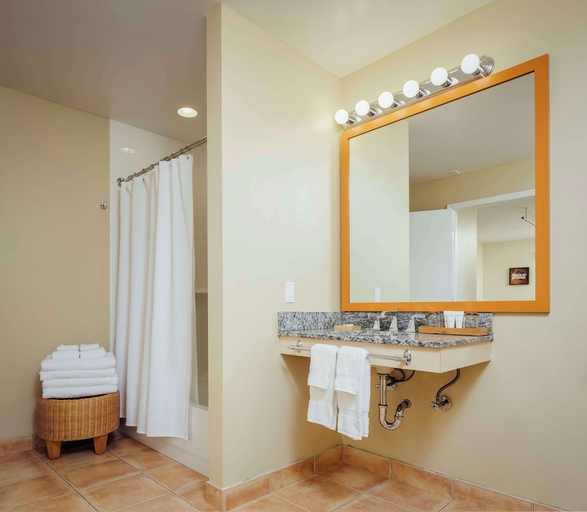 Bathroom, Wild Palms, a JdV by Hyatt Hotel, Santa Clara