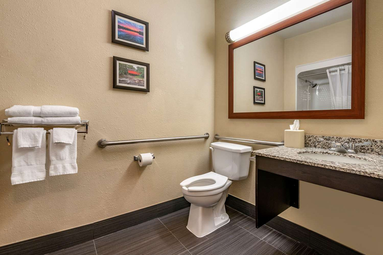 Bathroom 4, Comfort Inn Shelbyville North, Shelby
