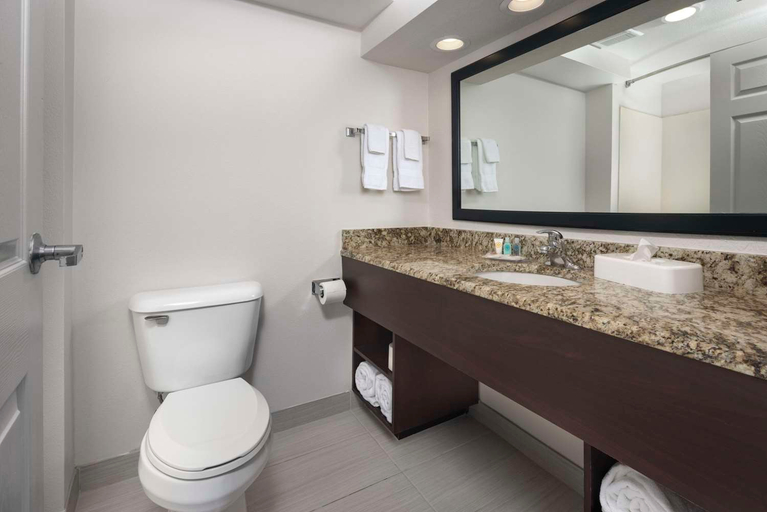 Bathroom 4, Comfort Inn & Suites Dahlonega University Area, Lumpkin