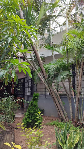 Others 4, Casa Prado 59, Barranquilla