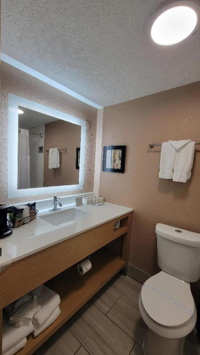 Bathroom 3, Lansing Delta West Hotel, Eaton