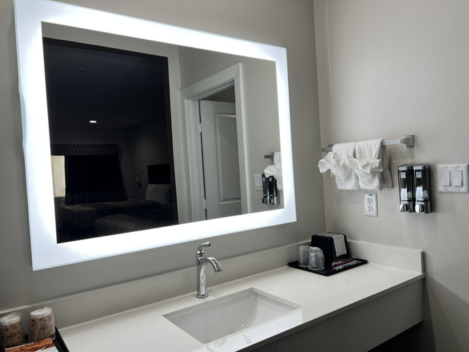 Bathroom 3, Hotel Royale, Houston