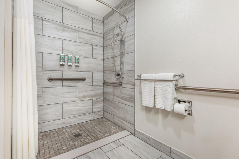 Bathroom 4, Best Western Gold Poppy Inn, Pima