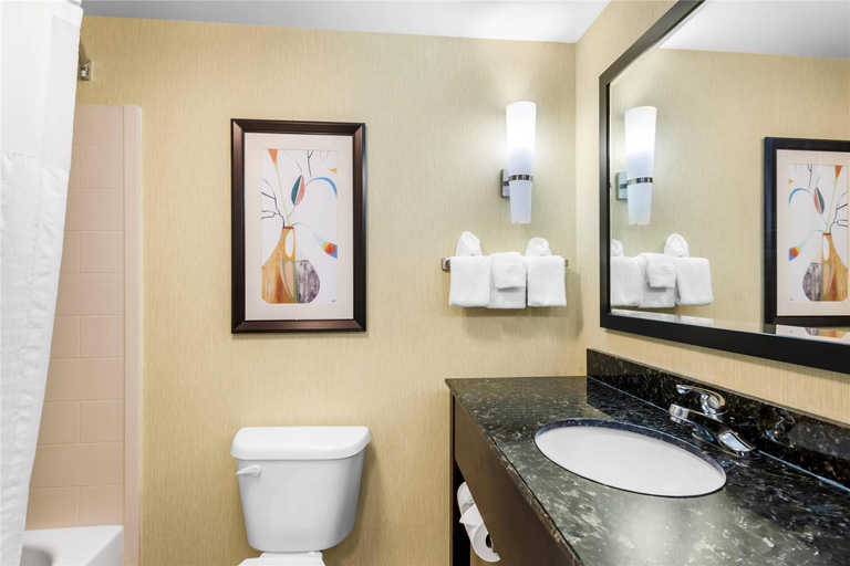 Bathroom 4, Comfort Suites Knoxville West - Farragut, Knox