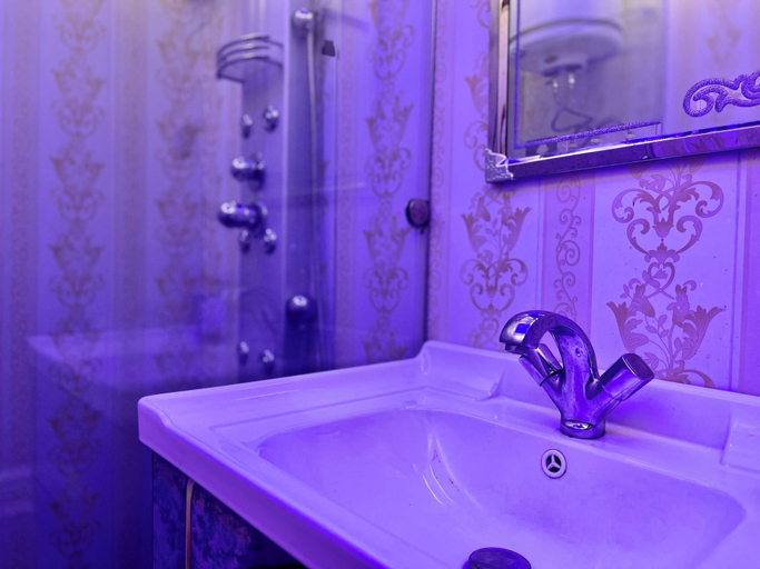 Bathroom 3, The Apollo 11 Heritage Luxury Houseboat, Srinagar