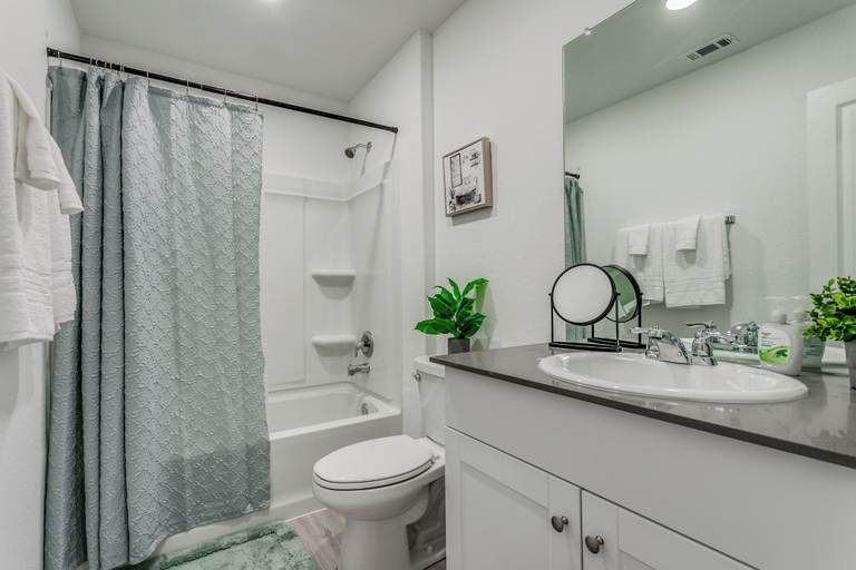 Bathroom 5, Axis Hill, Comal