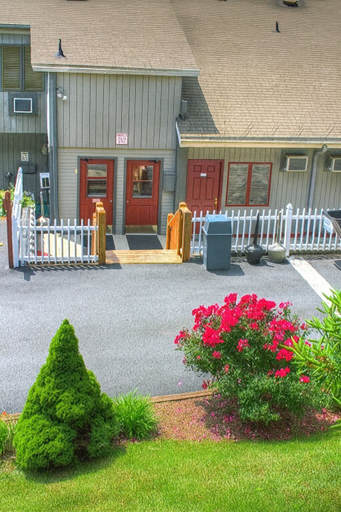 Exterior & Views 2, Smoketree Lodge, Watauga