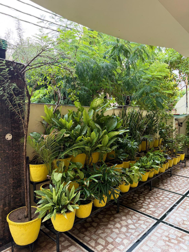 Others 4, Madhuraj Villa, Varanasi