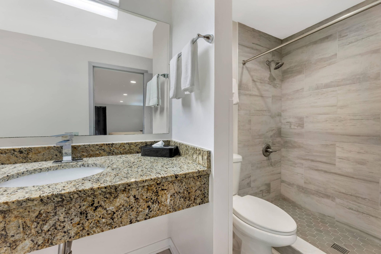 Bathroom 5, Rodeway Inn Lyons - La Grange, Cook