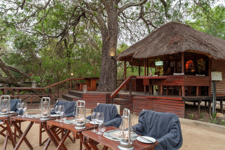 Food & Drinks 4, Lion Tree Top Lodge, Mopani