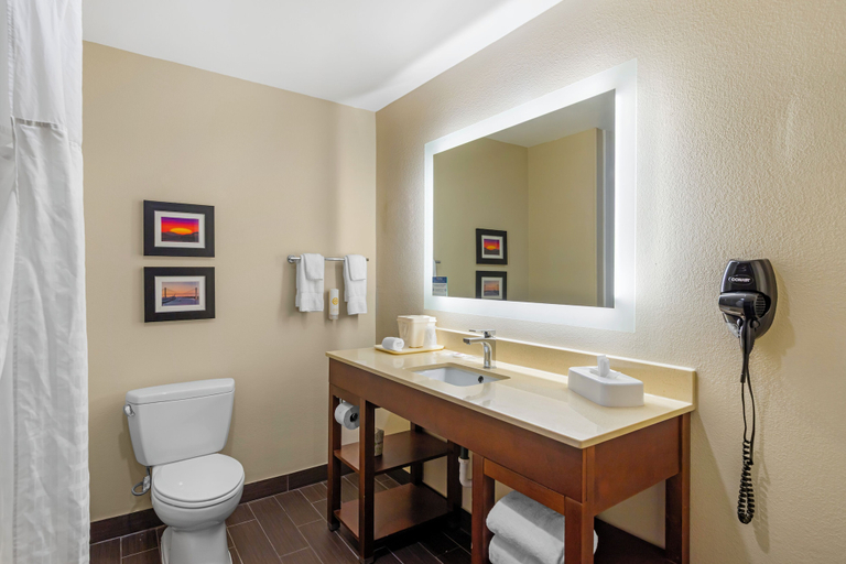 Bathroom 4, Comfort Suites Savannah Gateway I-95, Chatham