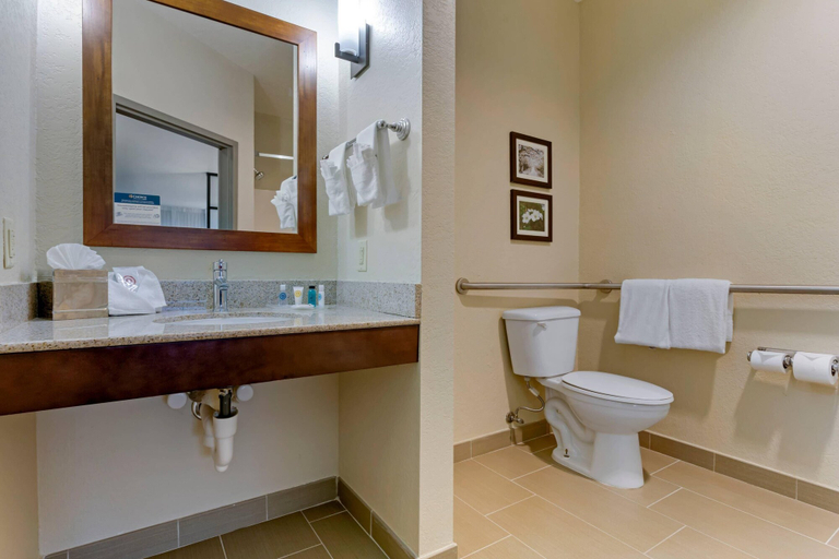 Bathroom 4, Comfort Suites Little Rock West, Pulaski