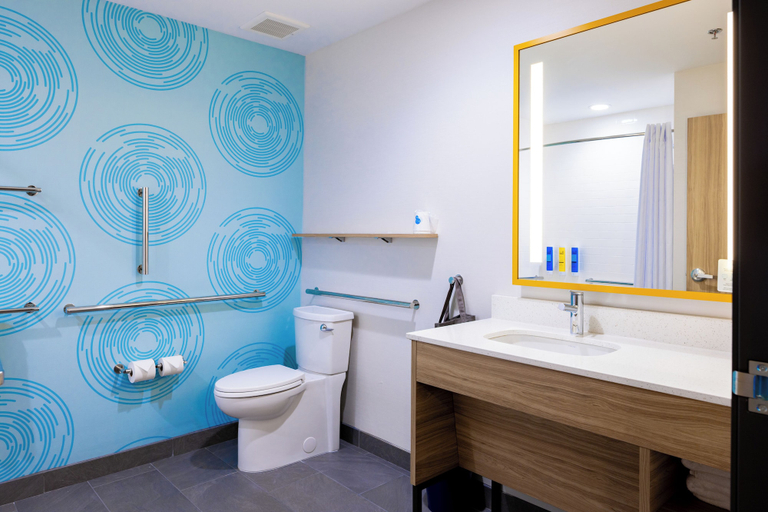 Bathroom 4, Tru By Hilton Kalamazoo, Kalamazoo