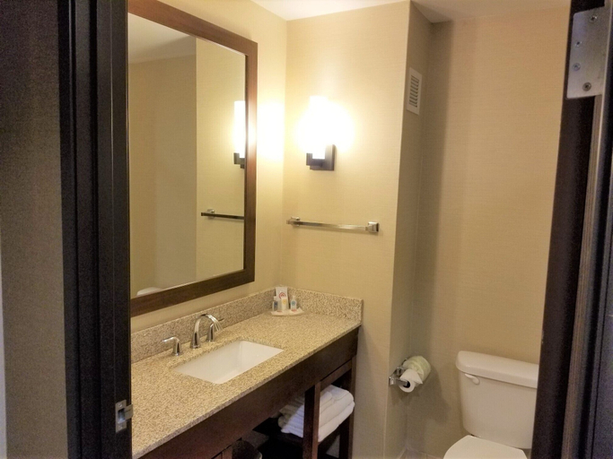 Bathroom 4, Comfort Suites Bloomsburg Area, Columbia