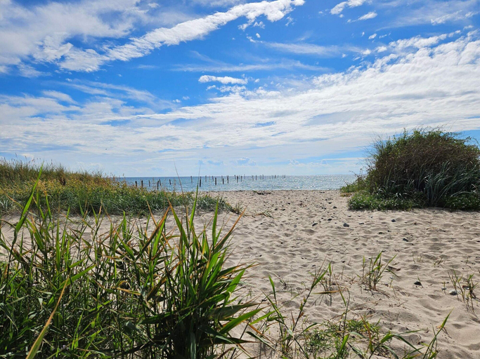 Beach, 8 Person Holiday Home in Nakskov, Lolland